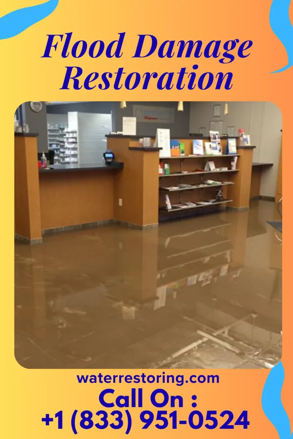 Flood Damage Restoration in Alden, IA