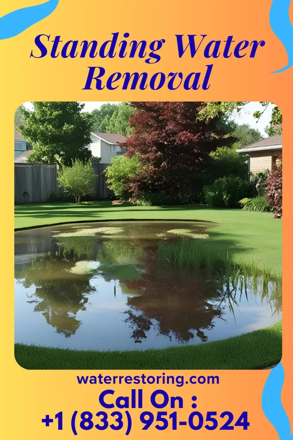 Standing Water Removal in Alden, IA